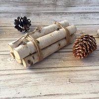 Christmas Tiered Tray Decor Mini Wood Log Bundle White Birch Logs Fillers | Etsy (US)