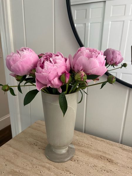 Peonies from the garden in this cute affordable vase  

#LTKHome #LTKFindsUnder50