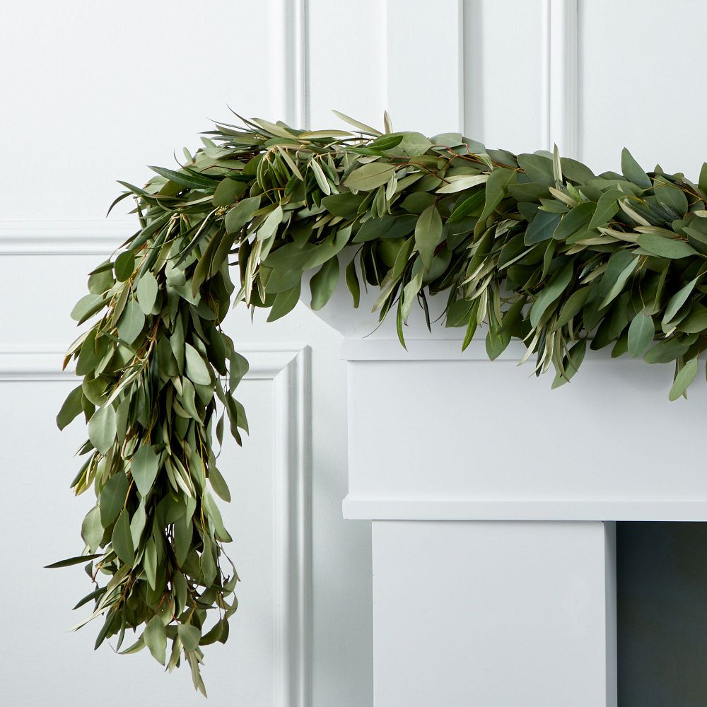 Silver Dollar Eucalyptus &amp; Olive Garland | West Elm (US)