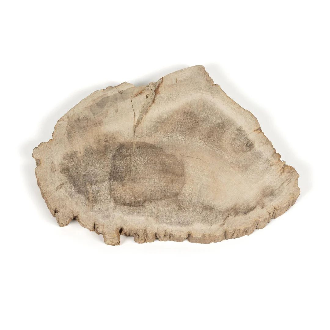 Petrified Wood Slab | StyleMeGHD