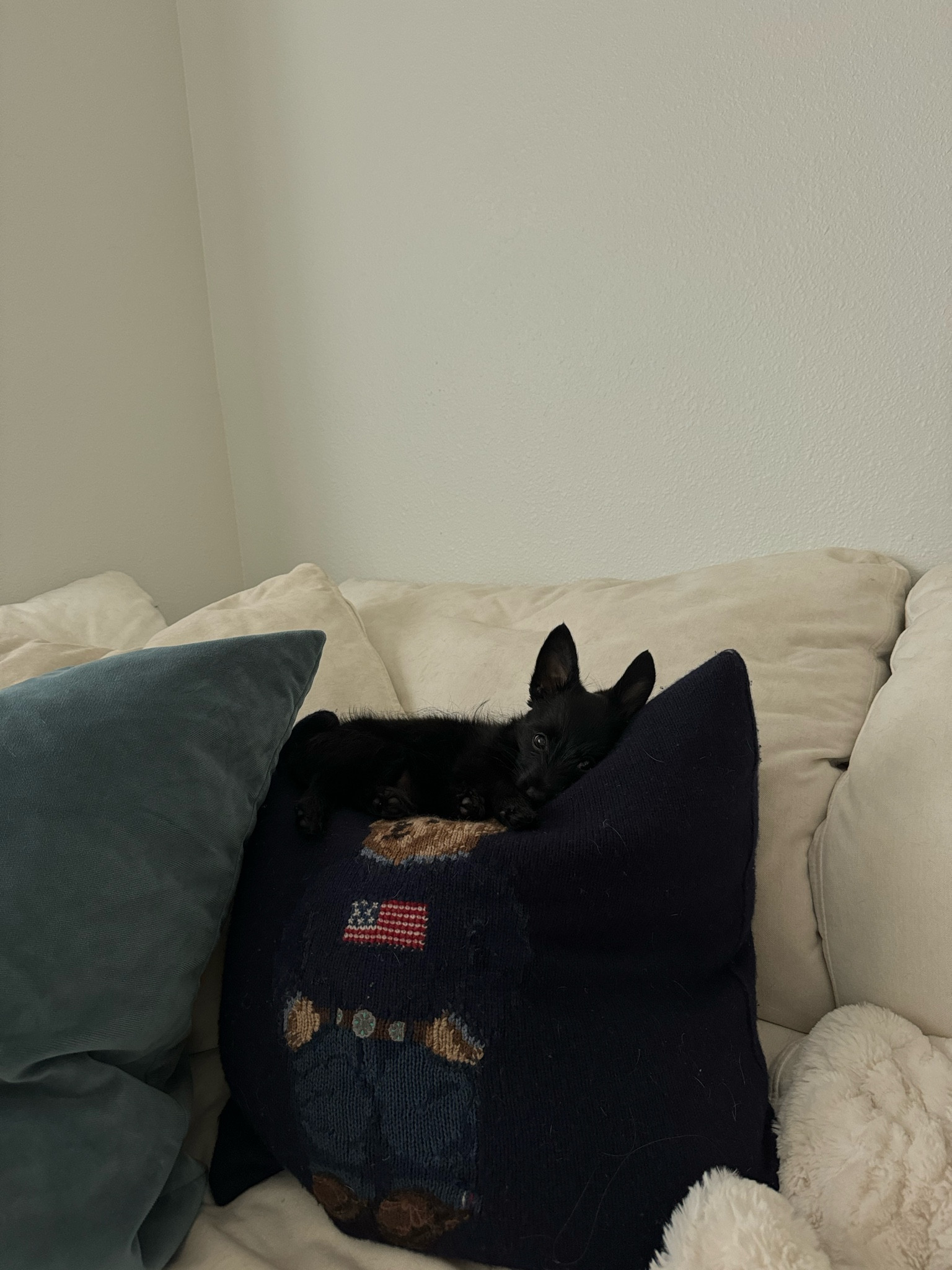 🇺🇸🧸

#LTKSeasonal #LTKhome