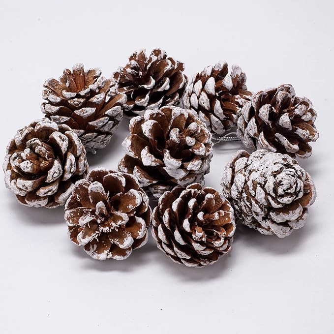 24pcs Christmas Pine Cones, Natural Pinecones Ornaments With String, Large Christmas Tree Pine Co... | Amazon (US)