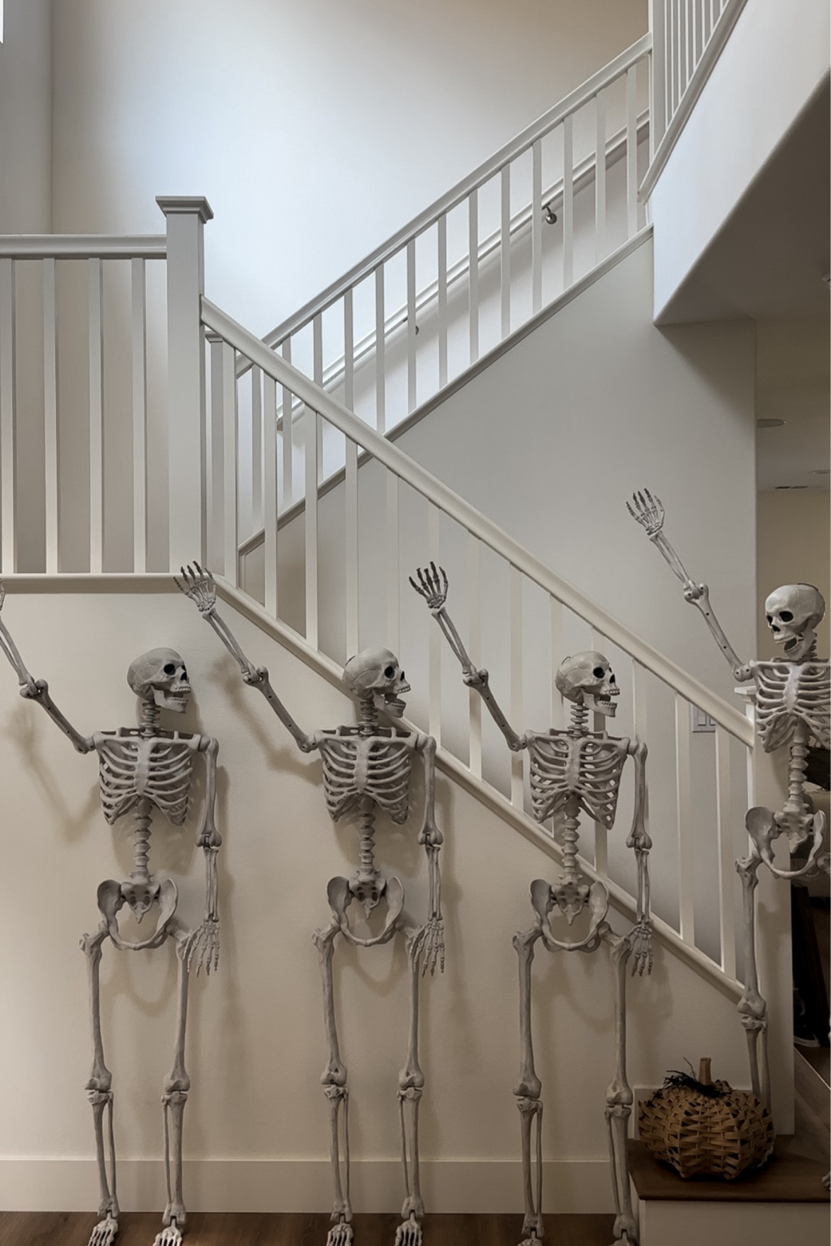 Skeleton friends! 

Life size skeleton decoration
Halloween decoration  

#LTKHome #LTKSeasonal #LTKFallSale