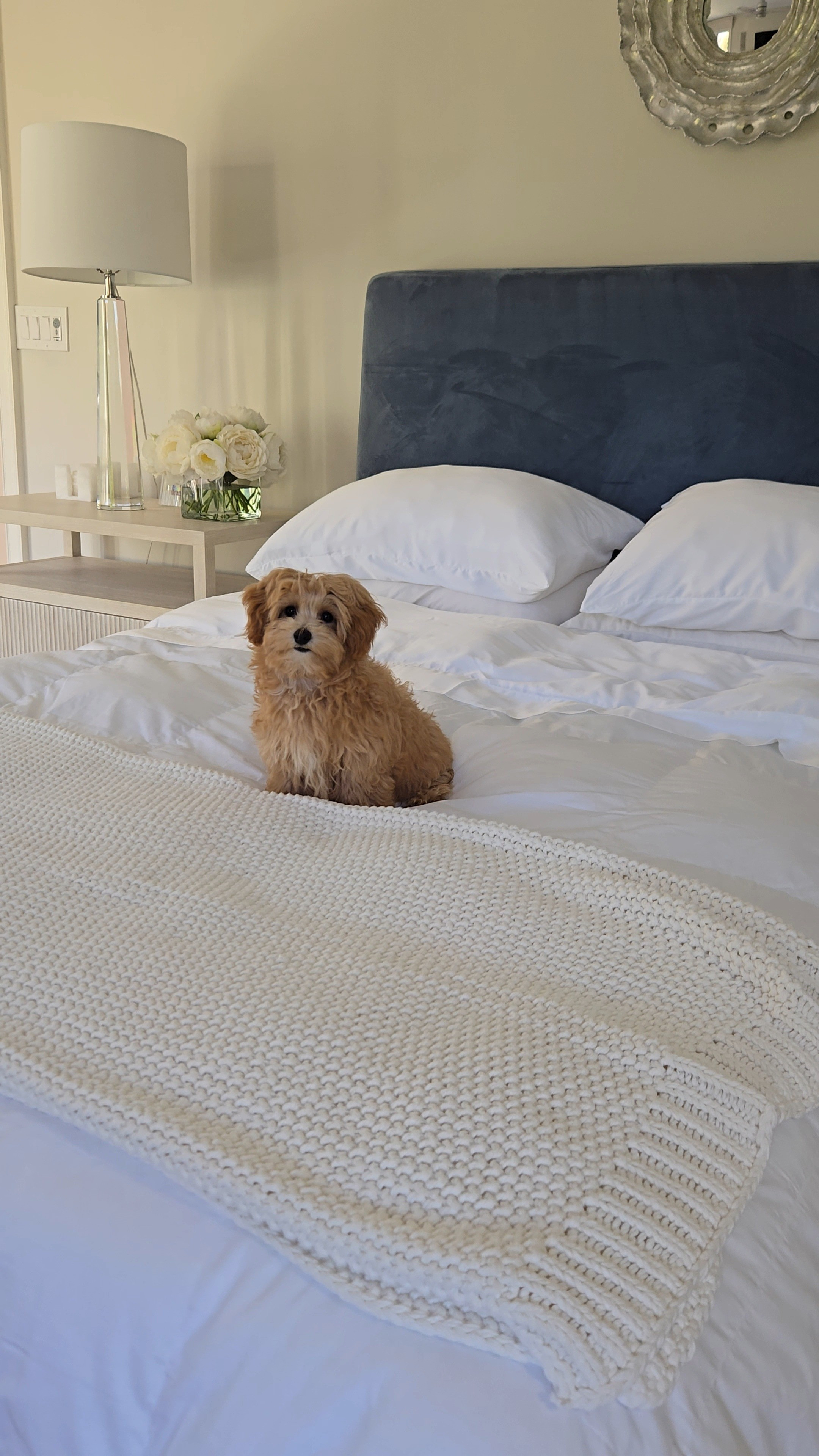 Use code: Cristina20 and save 20% off Alice Lane. Woven blanket, quilt, White sheets, bedroom, french, modern, coastal, blue headboard, nightstands.

#LTKPlusSize #LTKHome