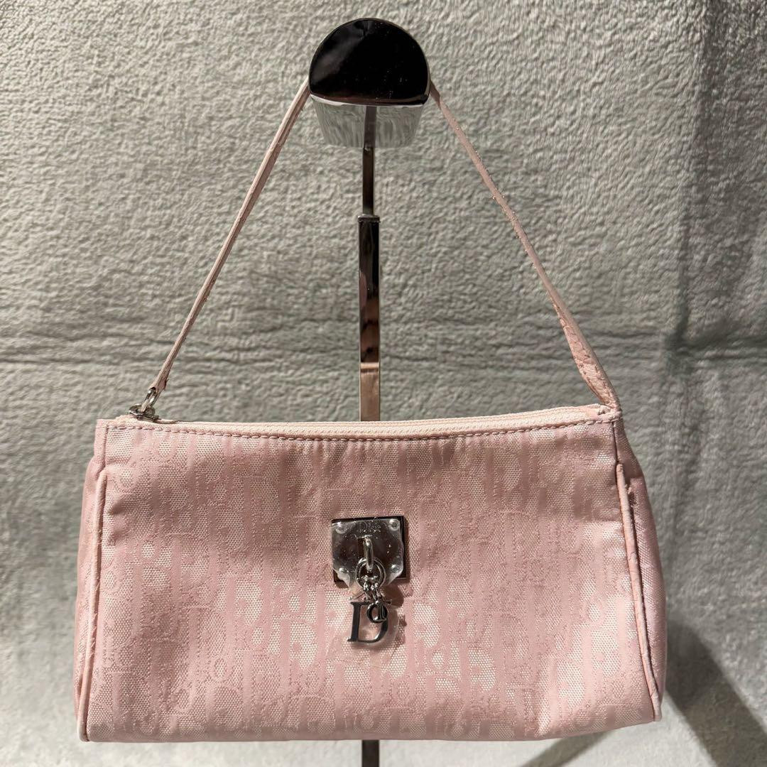 Christian Dior Trotter Accessory Pouch Leather Pink 250129H  | eBay | eBay US
