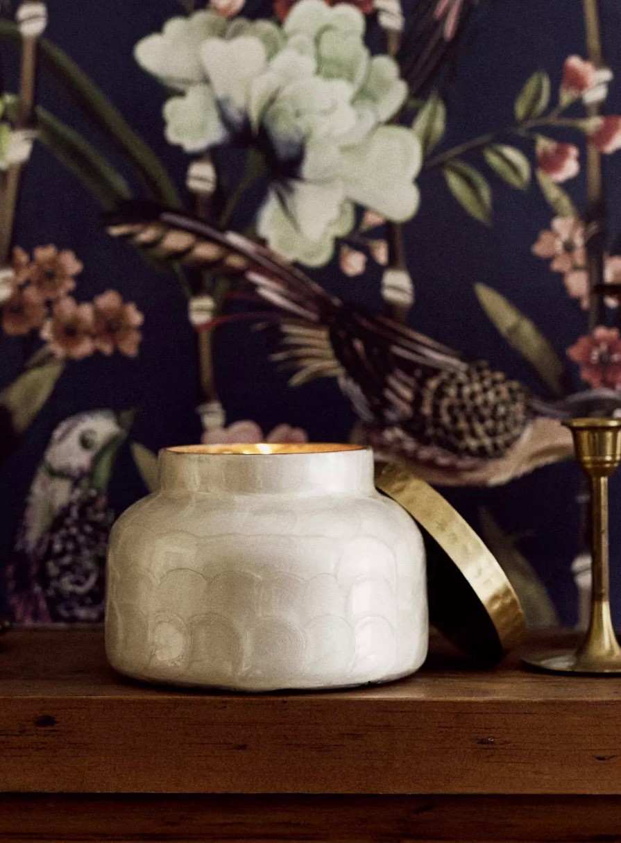 Anthro site wide sale with code ANTHRO30! Best time to stock up on candles and gifts!

#LTKGiftGuide #LTKCyberWeek #LTKSaleAlert