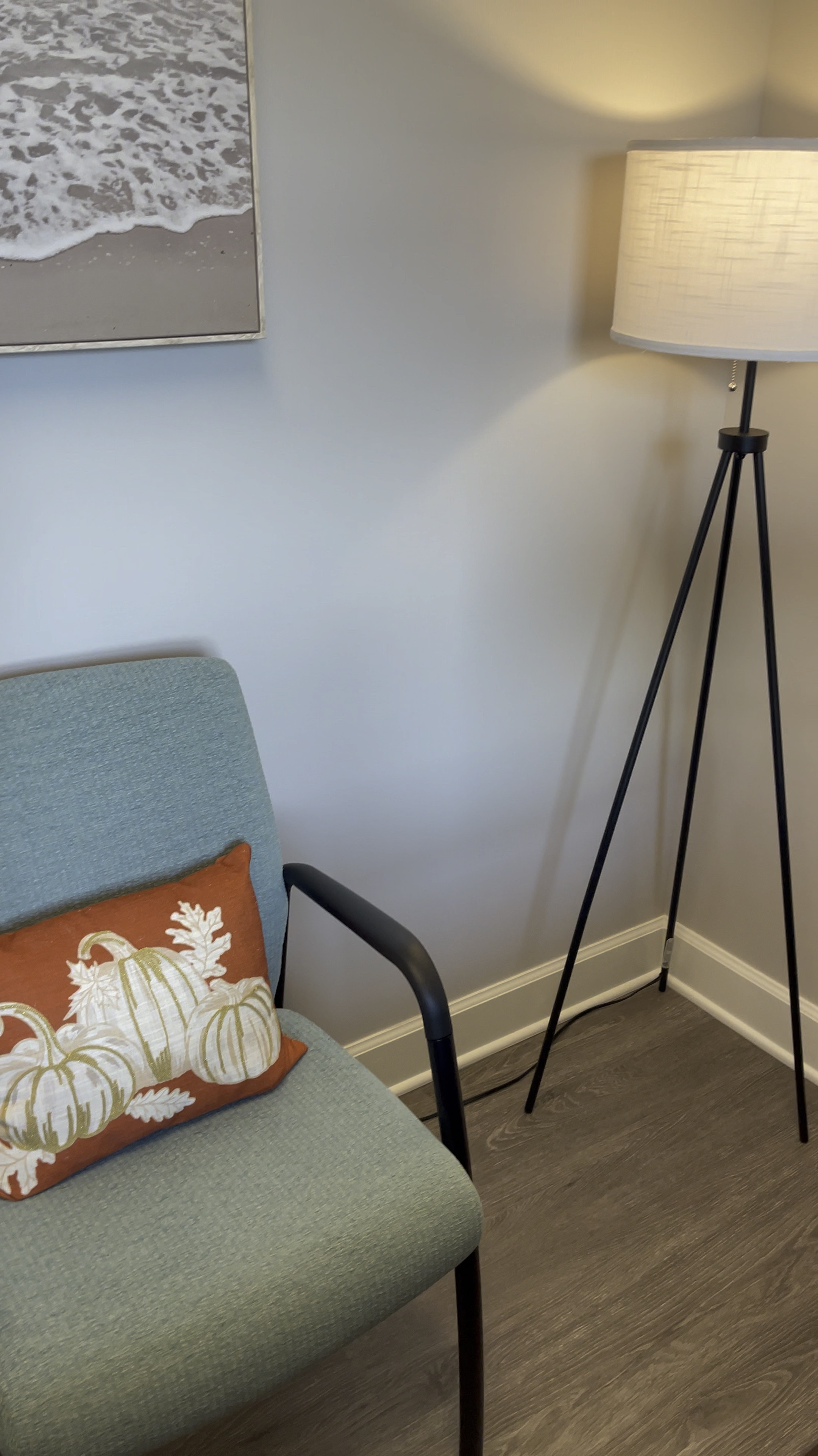 New Pumpkin pillow from Walmart is decorating my office for fall!  I also love the lamp in my office…also from Walmart!  Fall decor Walmart decor office decor 

#LTKhome #LTKHoliday