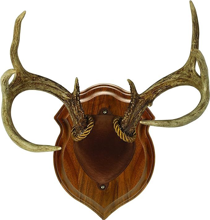 Walnut Hollow Country Deluxe Antler Display Mounting Kit in Solid Walnut for Mule Deer & Whitetai... | Amazon (US)