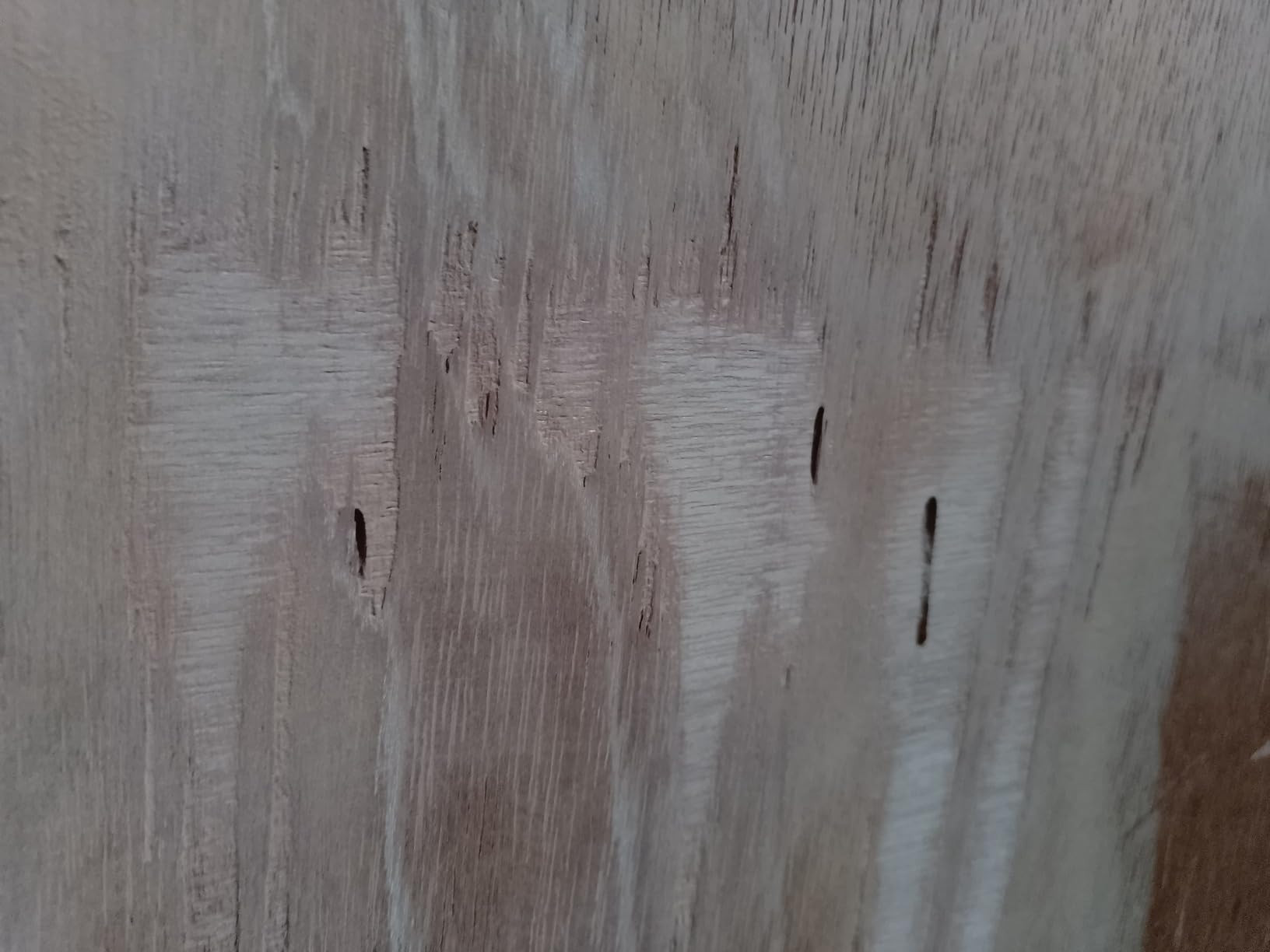 SEISSO Wood Putty, Water-Based Woods Filler, White Wooden Putty for Trim, Woods Filler Paintable,... | Amazon (US)