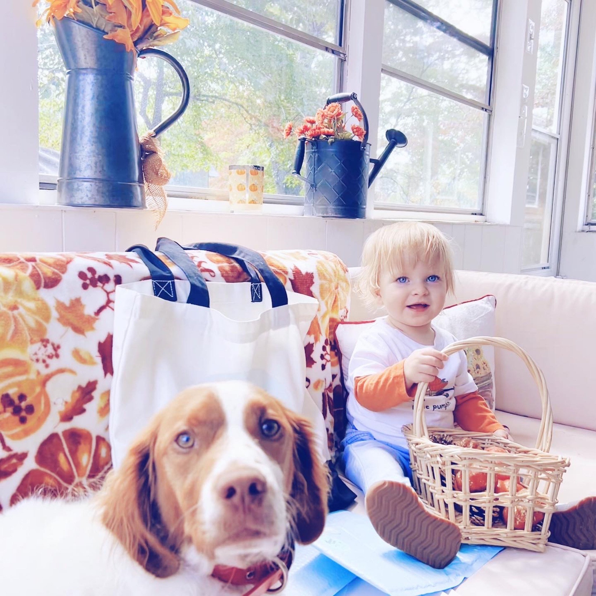 Somehow it just keeps on getting sweeter and sweeter with our little Judson - as his precious joyful personality (& contagious giggles🤭!!) continues to shine more and more every day!! 🥰 He truly is my little baby bestie and “mommy’s helper,” as he loves to help mama all around the house these days (swipe over to see some videos hehe) packing 😉 @emilymabrycreative orders 🎨, feeding Red his dog treats 😋, opening the door 🚪, holding mama’s keys 🔑, putting laundry in the basket 🧺, lots of dance parties these days 🕺🪩, and so much more! This is such a sweet sweet spot age with our baby boy (alllll boy when it’s time to play 🙌🏽, and the sweetest little cuddle bug when it’s time to sleep 😴) and we are soaking it all in!! 👼🏼🥹🐶 #lifelately #judsonandred #welovefall #mommyslittlehelper #joyuponjoy #thebestage

…

#judsoncarpentermabry #sixteenmonthsold #sixteenmonthold #sixteenmontholdbaby #sixteenmontholdboy #judsonmonthbymonth #sweetjudson #oursweetboy #oneyearold #oneyearoldbaby #oneyearoldbabyboy #oneyearoldboy #gratefulmotherhood #hellofall #helloautumn #octobermemories #hellooctober 

#LTKfamily #LTKhome #LTKbaby