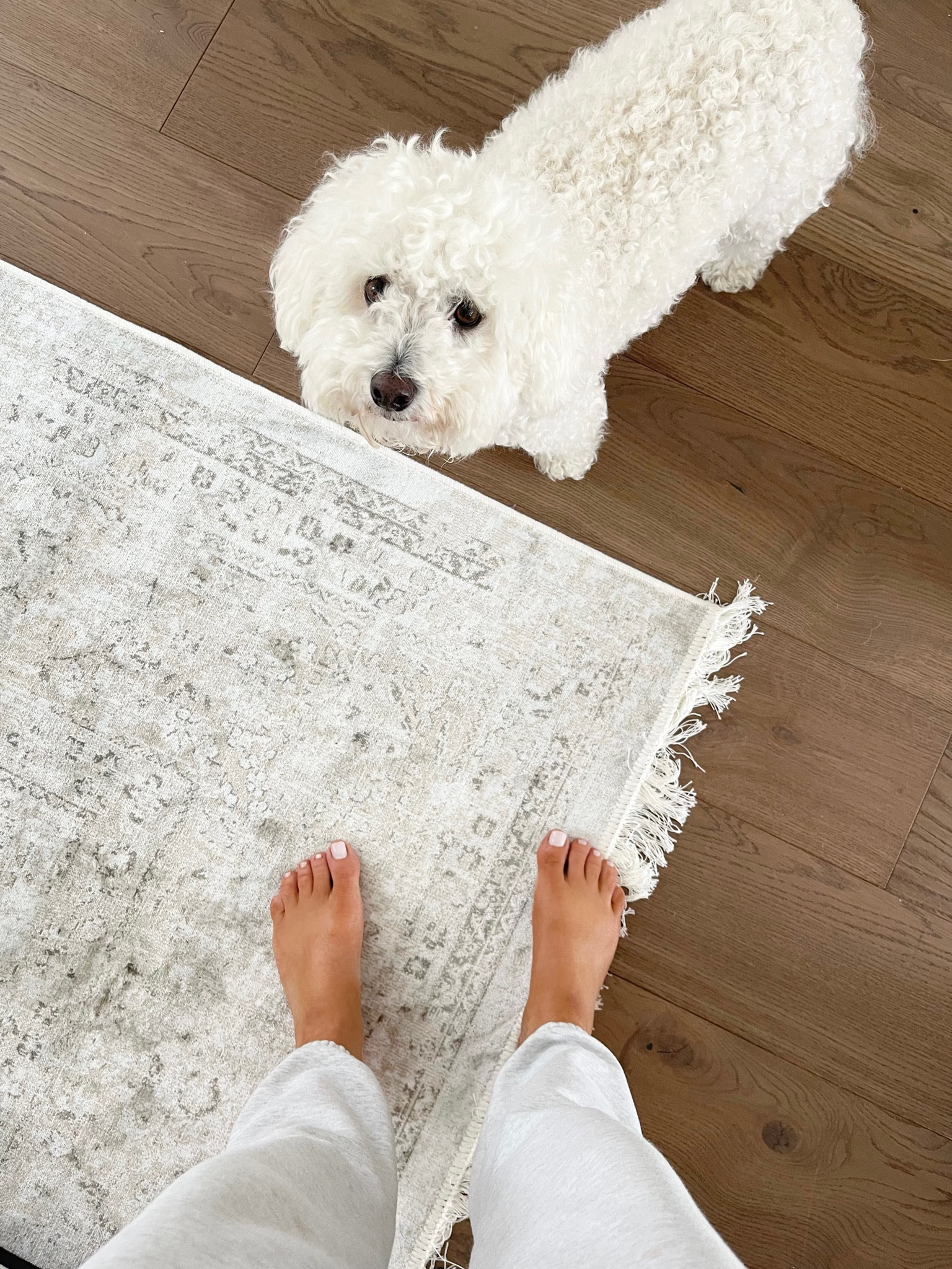 The pretties ivory rug! Super low pile ivory rug with fringe. 


#LTKstyletip #LTKhome #LTKsalealert