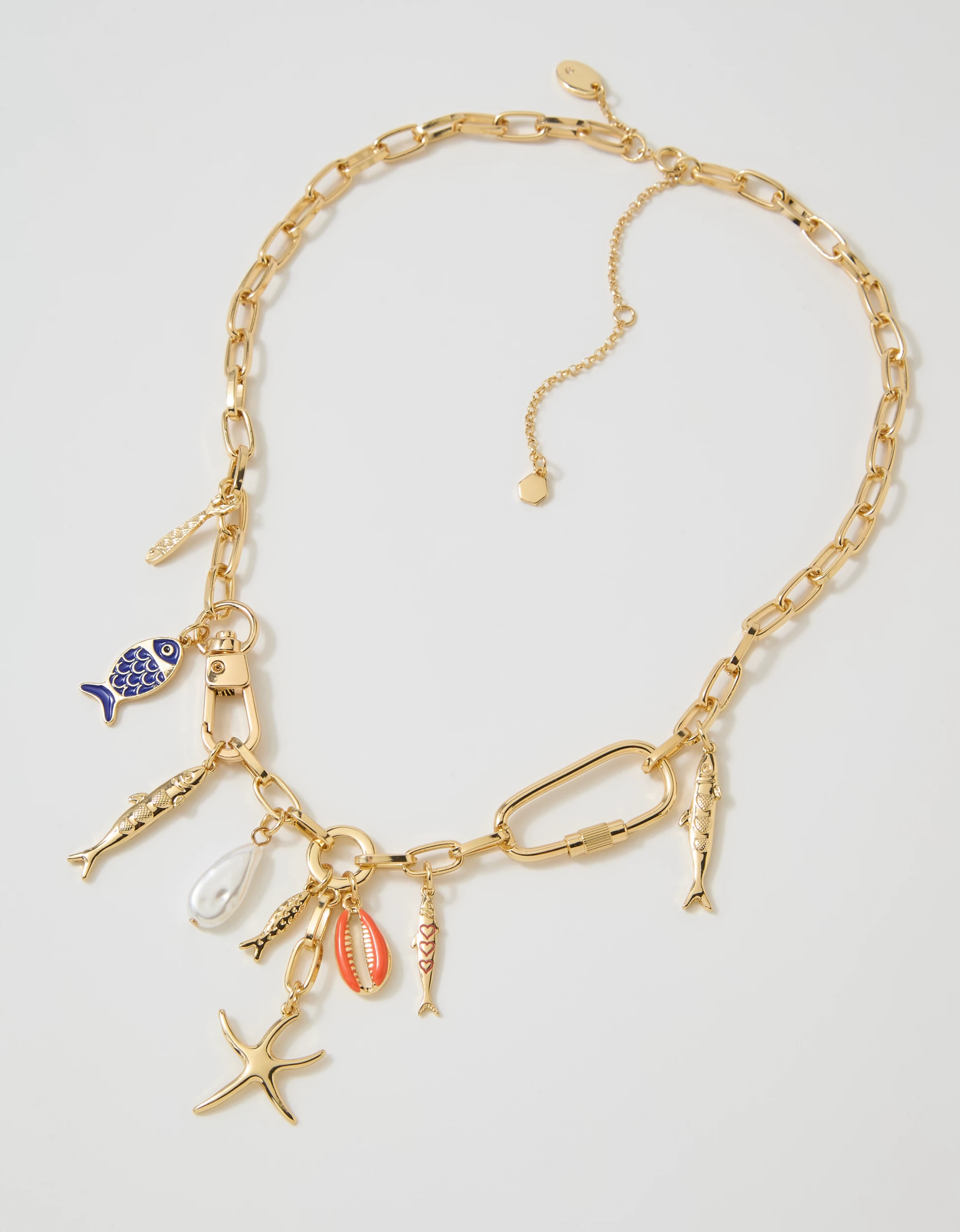 Aerie Chunky Charm Necklace | Aerie