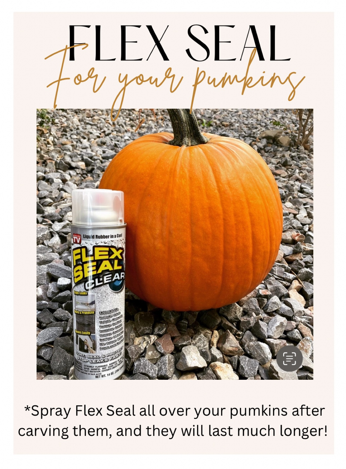 FLEX SEAL works great at preserving whole or carved pumpkins, so that they last until Halloween! Flex Seal also works great to preserve our holiday door mats so they stay looking new! 

#LTKkids #LTKfamily #LTKHalloween