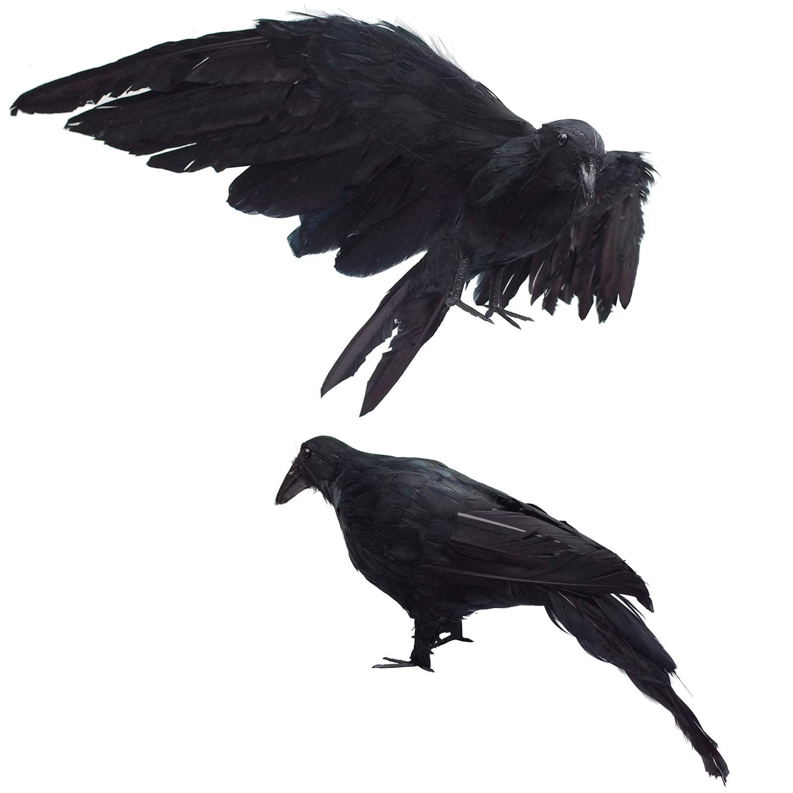 2-Pack Realistic Crows Lifesize Extra Large Handmade Black Feathered Crow for Halloween Decoratio... | Amazon (US)