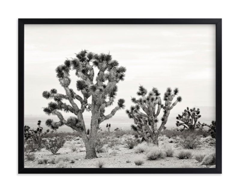"Joshua Tree" - Photography Limited Edition Art Print by Kristi Jackson. | Minted