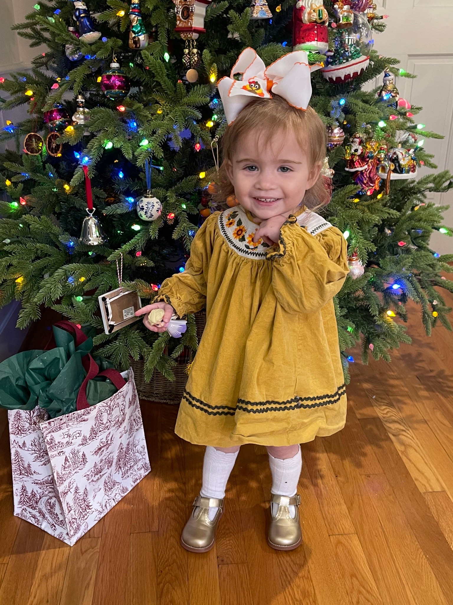 🍁✨ Sweet Holiday Sunflower Style ✨🎄

Caroline’s little sunflower corduroy dress is the cutest for both Thanksgiving and Christmas décor moments — the warm mustard color pops beautifully against the tree lights and all your festive ornaments. Paired with her gold Mary Janes, knee-high socks, and the sweetest embroidered holiday bow, it’s a timeless little-girl look that works all season long. Perfect for family photos, holiday gatherings, and twirling around the Christmas tree. 💛🎁🌻

At the bottom of your LTK post, organically work in:
baby girl outfits, toddler holiday outfits, Thanksgiving toddler style, Christmas toddler outfit ideas, Amazon baby girl dresses, toddler Mary Jane shoes, holiday picture outfit, festive family photos, toddler socks knee high, holiday bow for girls, Christmas tree decor, Thanksgiving decor ideas, classic children’s clothing

#LTKKids #LTKHome #LTKHoliday