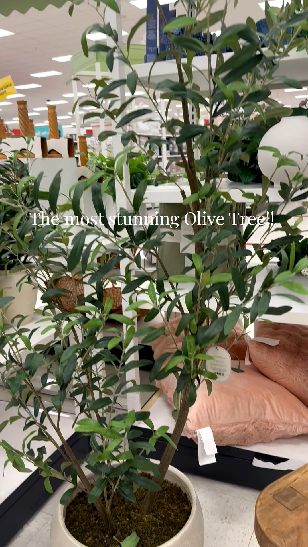 I really can’t get over this olive tree! It’s that good! And $150!!! What? 🤯😍😍




#olivetree #artificialtree #springdecor #homedecor #greenery #floralstems #target #studiomcgee #affordablehomefinds 

#LTKActive #LTKSeasonal