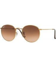 RayBan RB3447 53 Round Metal Shiny Light Bronze 9001A5 Sunglasses | Sunglasses2u