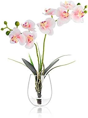 DDHS Orchids Artificial Flowers，15" PU for Decorative Fake Flowers with Glass Vase for Home Dec... | Amazon (US)