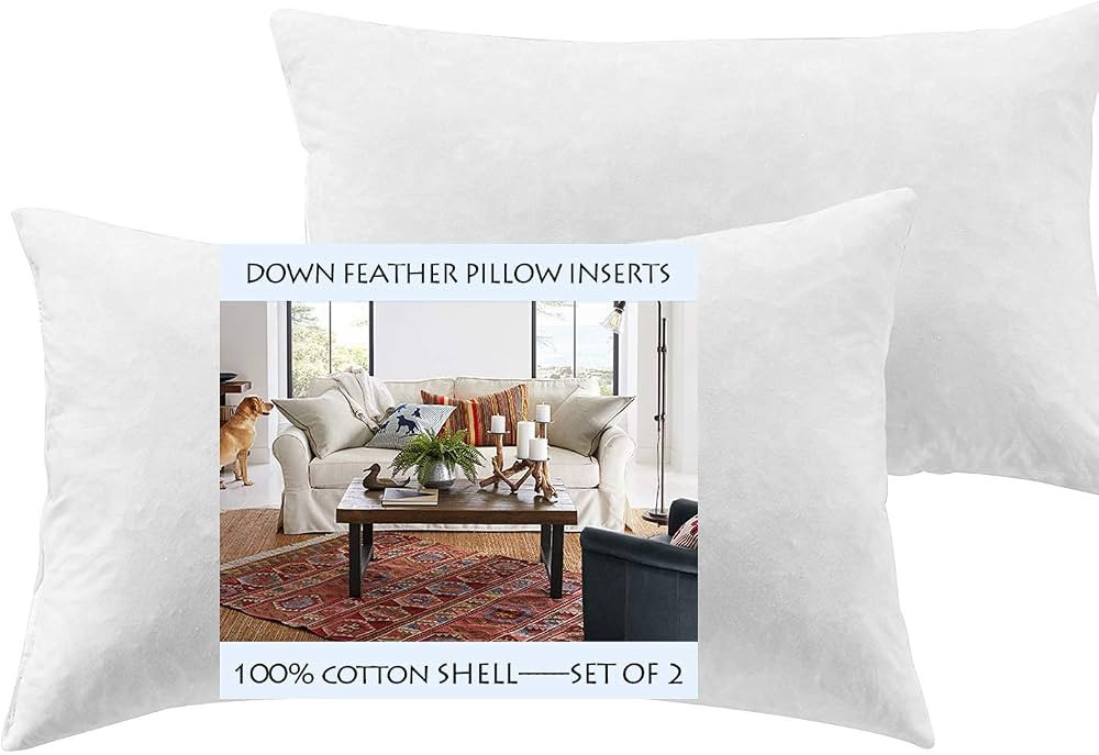 Yesterdayhome Set of 2-12x20 Oblong Pillow Inserts-Down Feather Pillow Inserts-White | Amazon (US)