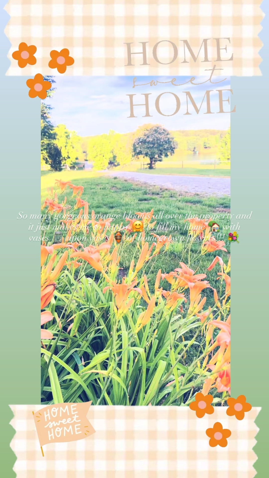 So many gorgeous orange blooms all over the property and it just makes me so happy 🤗 to fill my home 🏡 with vases 🫙 upon vases 🏺 of homegrown flowers!!! 💐