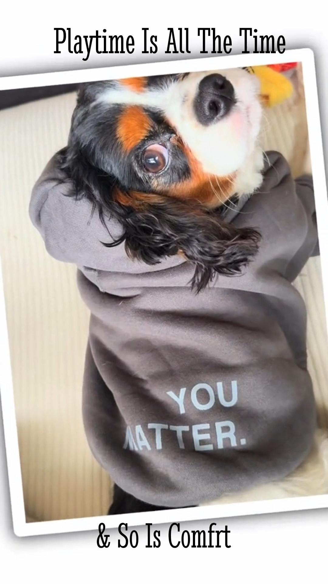 It’s COLD Here In The Pennsylvania Mountains.  Comfrt Is A Necessity !

#LTKPets #LTKSaleAlert #LTKActive