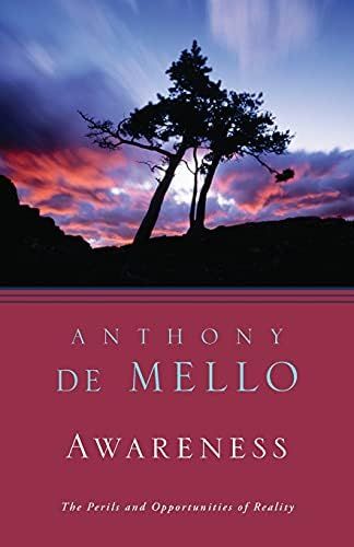 Awareness: The Perils and Opportunities of Reality | Amazon (US)