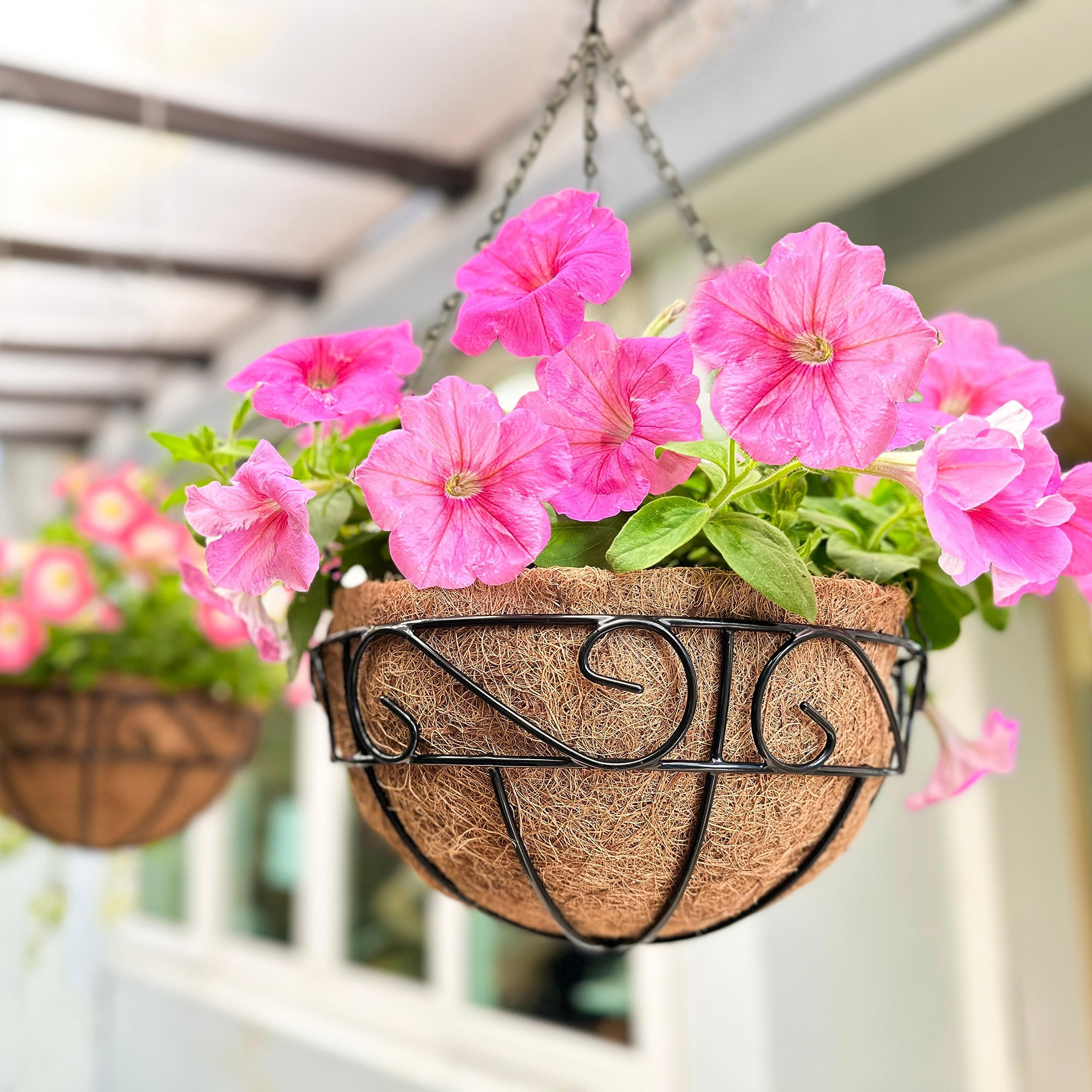 LaLaGreen Hanging Planter for Outdoor Plants (12 Inch, 2 Pack) Hanging Baskets with Coco Liner, B... | Amazon (US)