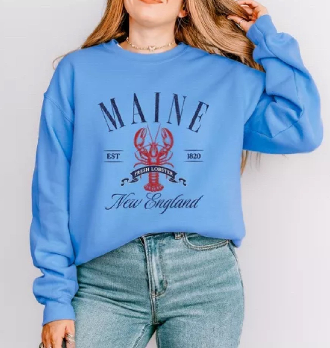 Target find 
Simply Sage Market Maine New England Sweatshirt - S - Carolina

#LTKSaleAlert