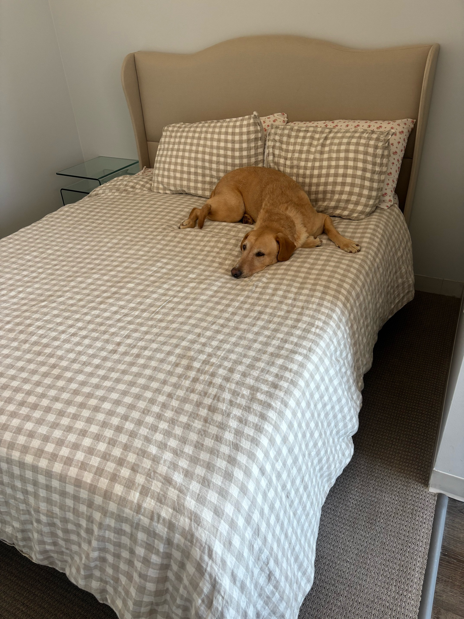 My comforter and frame