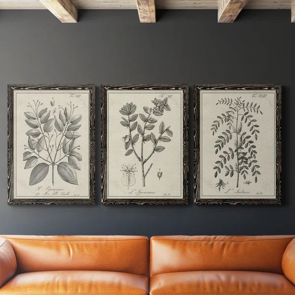 Antique Black And White Botanical VII - 3 Piece Single Picture Frame Illustration on Canvas | Wayfair North America