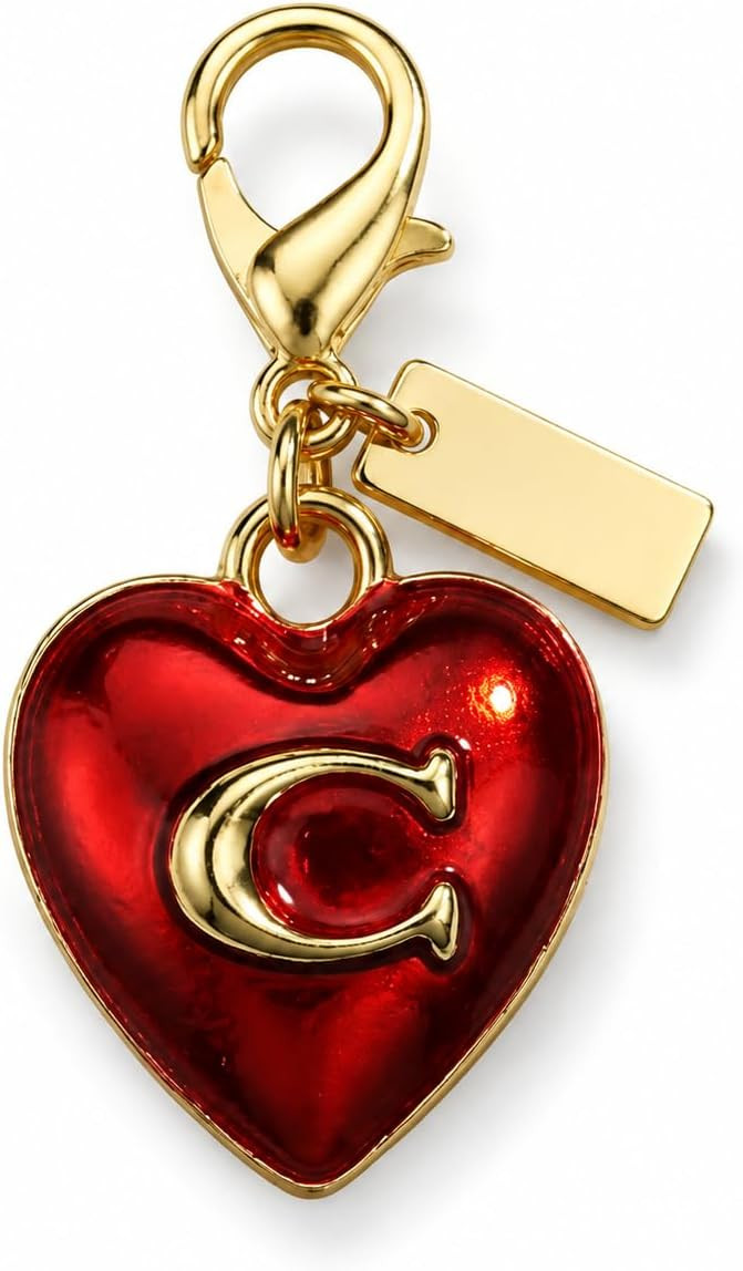 Bag Charms for Handbags Gold Purse Chain Bag Charm Chain | Amazon (US)