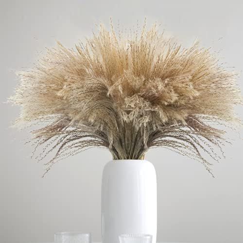Uieke 100Pcs Natural Dried Pampas Grass Plume 17inch Tall Dried Flowers Large Faux Reed Artificia... | Amazon (US)