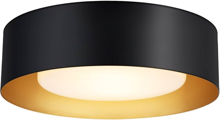 Goomavi Modern Flush Mount Ceiling Lights,Minimalist 12.5'' Round Close to Ceiling Light Fixture,... | Amazon (CA)
