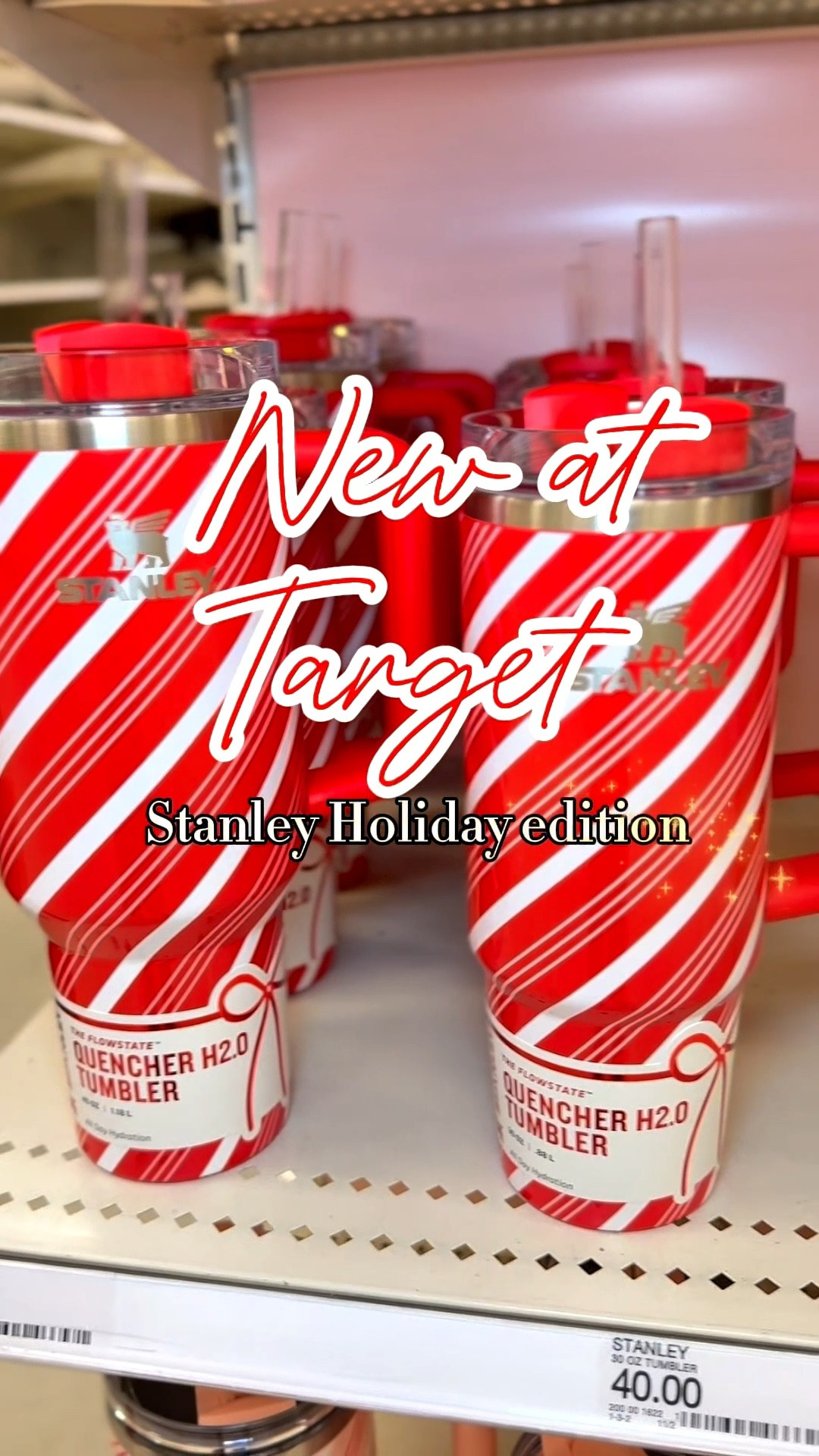 ✨New✨ at Target Stanley Holiday collection

#LTKGiftGuide #LTKSeasonal #LTKHoliday