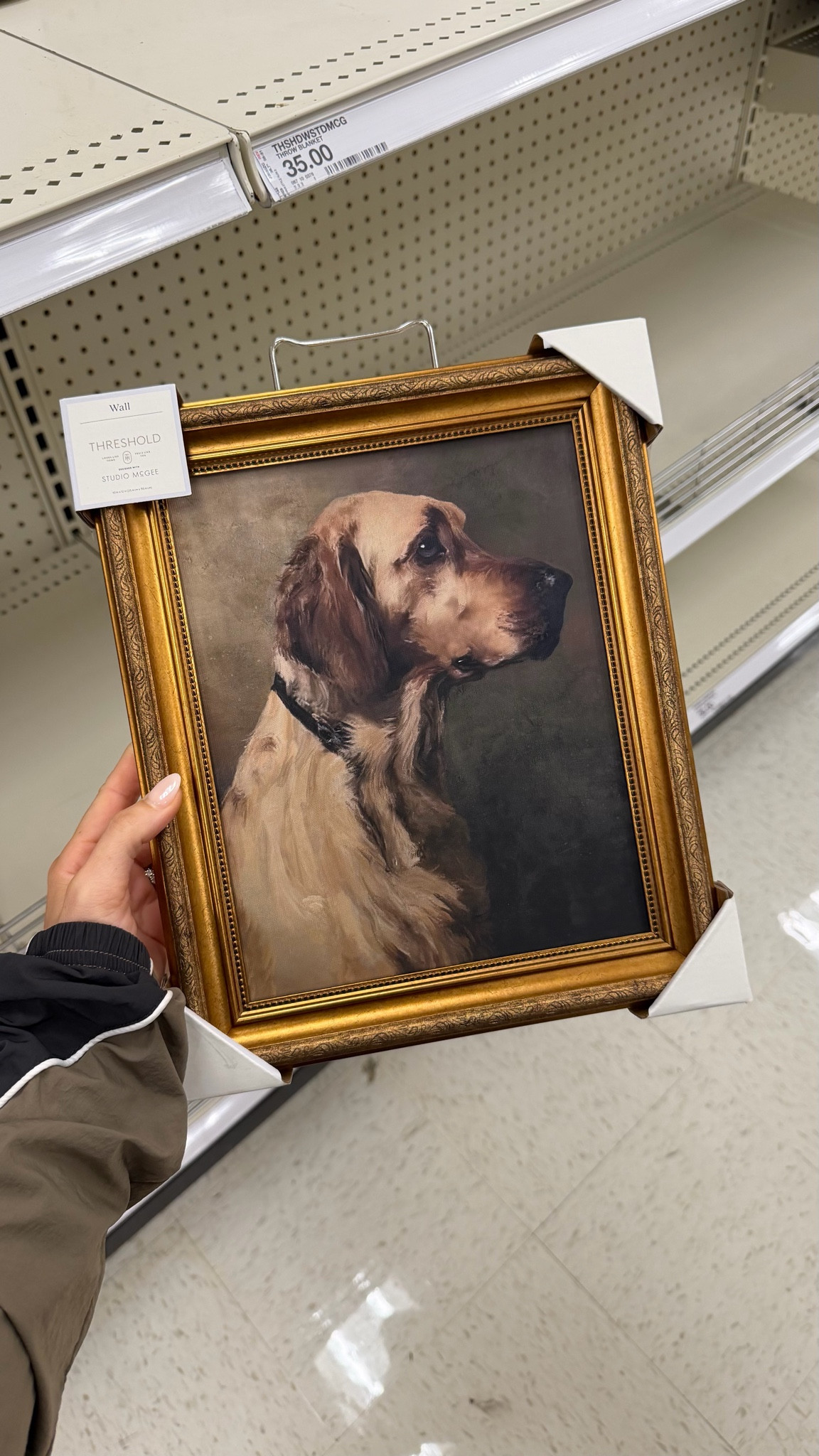 Vintage dog portrait finds at Target always get me 🤎🐾 This antique-style framed artwork looks SO high end for a Target home decor find. Perfect for cozy vintage decor, cottagecore homes, gallery walls, dog lover decor, and old money aesthetic styling ✨ #targetfinds #targethome #vintagehome decor #dogdecor #gallerywall #cottagecoredecor #antiquedecor #vintagefinds #homedecorfinds #oldmoneyaesthetic #cozyhome #neutralhome #thriftedstyle #goldframe #doglover #targetstyle #ltkhome #ltkfinds #homedecorideas #viralhomefinds 

 #LTKdayinmylife #LTKHome #LTKSaleAlert