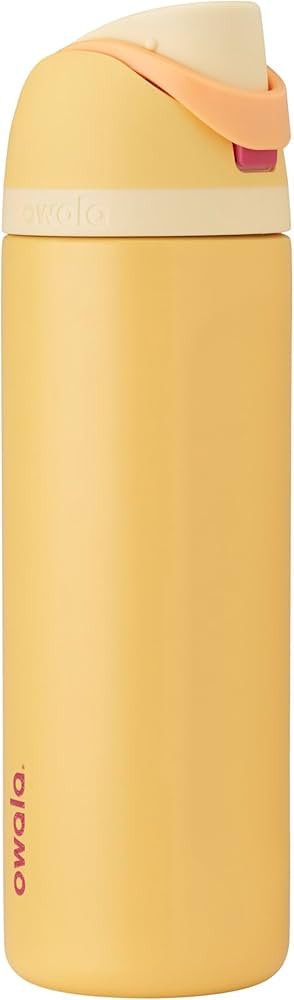 Owala Disney Princess FreeSip Insulated Stainless Steel Water Bottle with Straw for Sports and Tr... | Amazon (US)