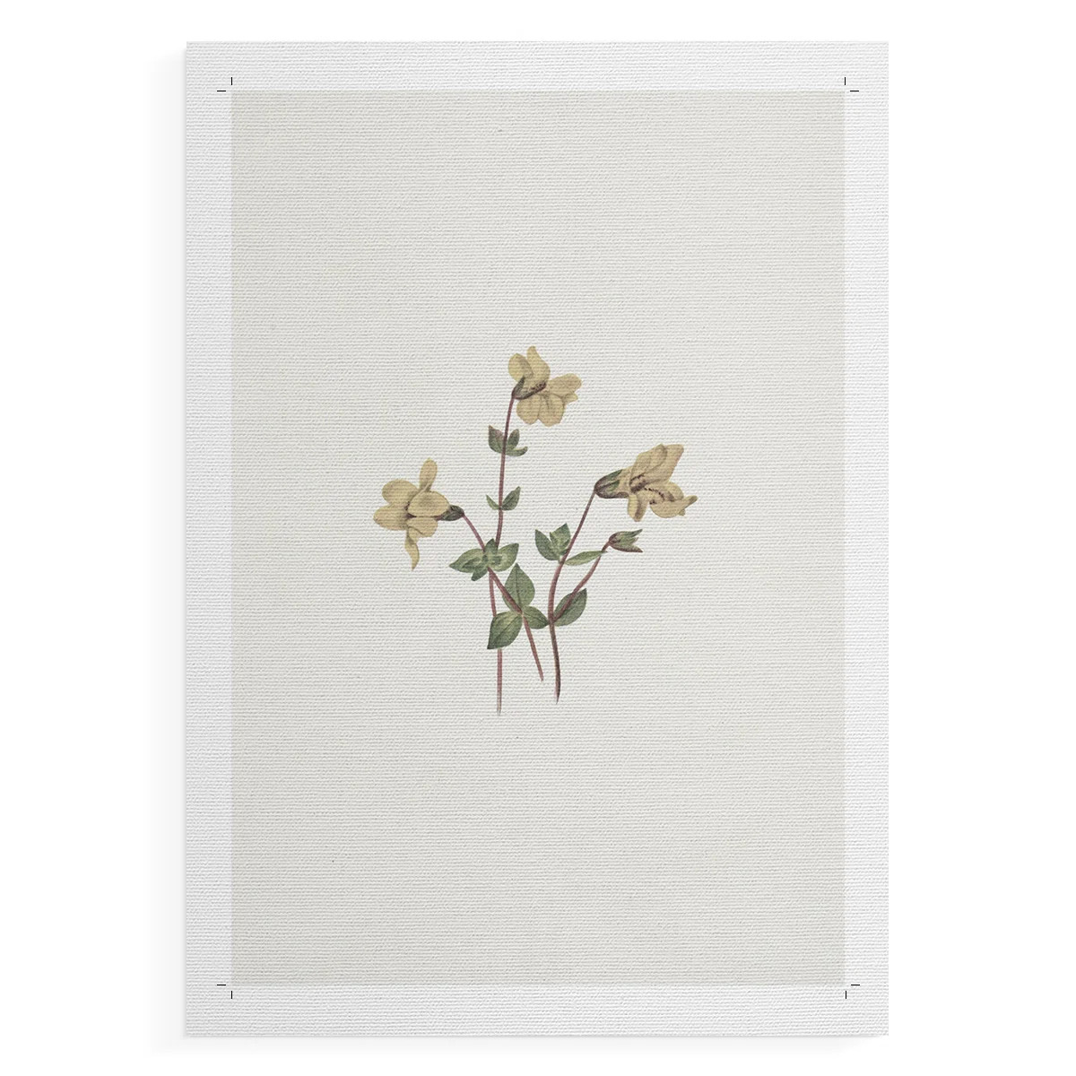 Vintage Floral Print CLXVI -Canvas Print Only - NOT FRAMED | Wayfair North America