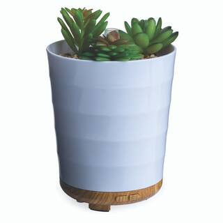 Airomé 100 ml Potted Succulent Medium Ultra Sonic Diffuser By Airome in White | 5" x 5" x 7.25" | Michaels® | Michaels Stores