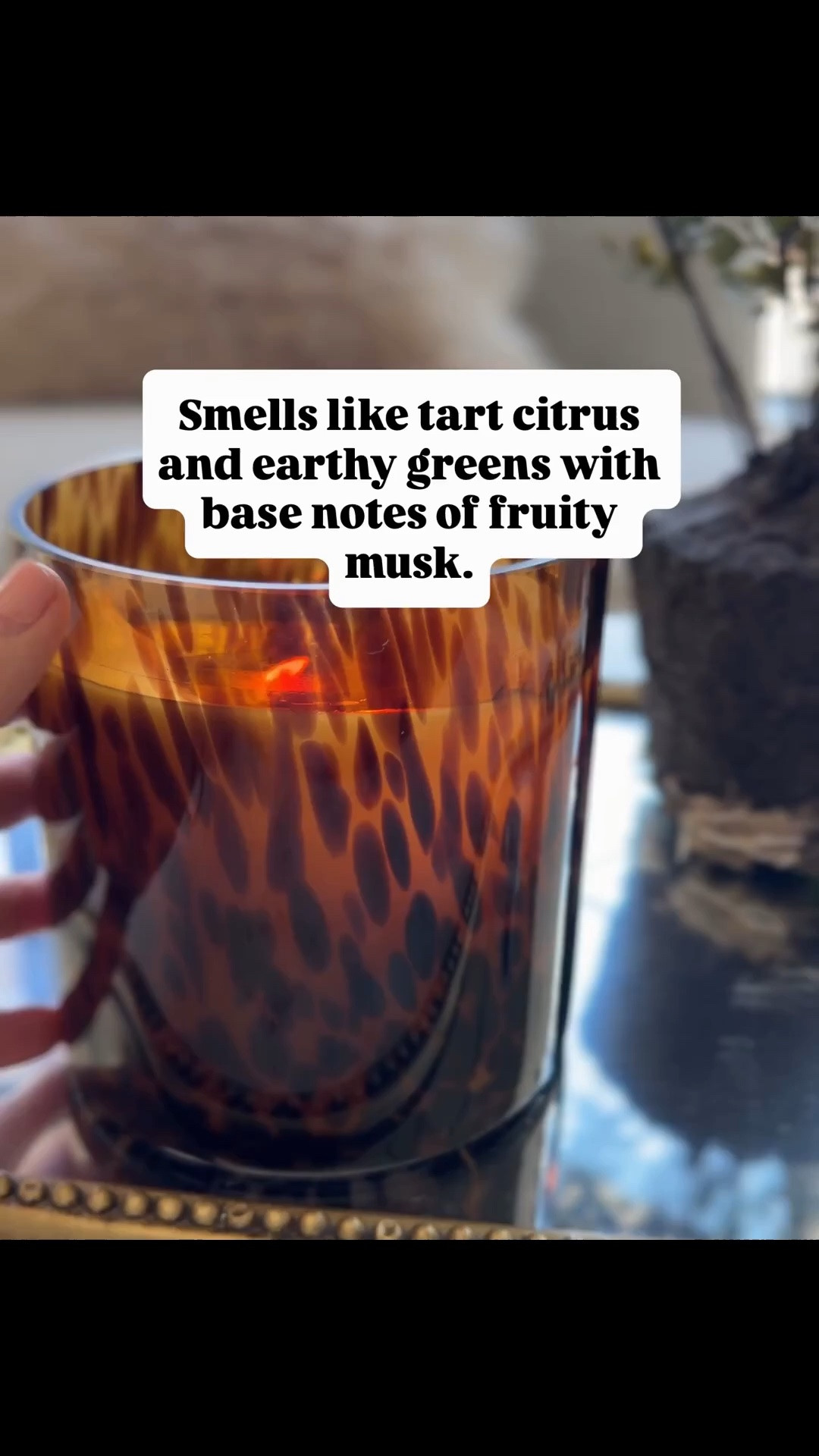 Love these candles and the tortoise vessel

#LTKHome