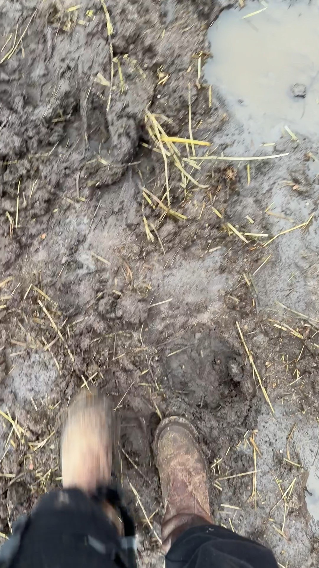 Boots that are great for the mud! I have had these a while and they are still holding strong. Need a little warmer and dry weather  #georgiaboot

#LTKGiftGuide #LTKdayinmylife #LTKstorytime