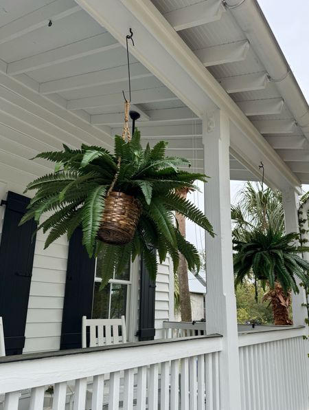 Our faux ferns from AMAZON! Such good quality and come with the rope and baskets. #outdoorliving #amazonfinds 

#LTKfindsunder100 #LTKSeasonal