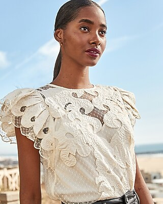 Sheer Lace Short Ruffle Sleeve Top | Express
