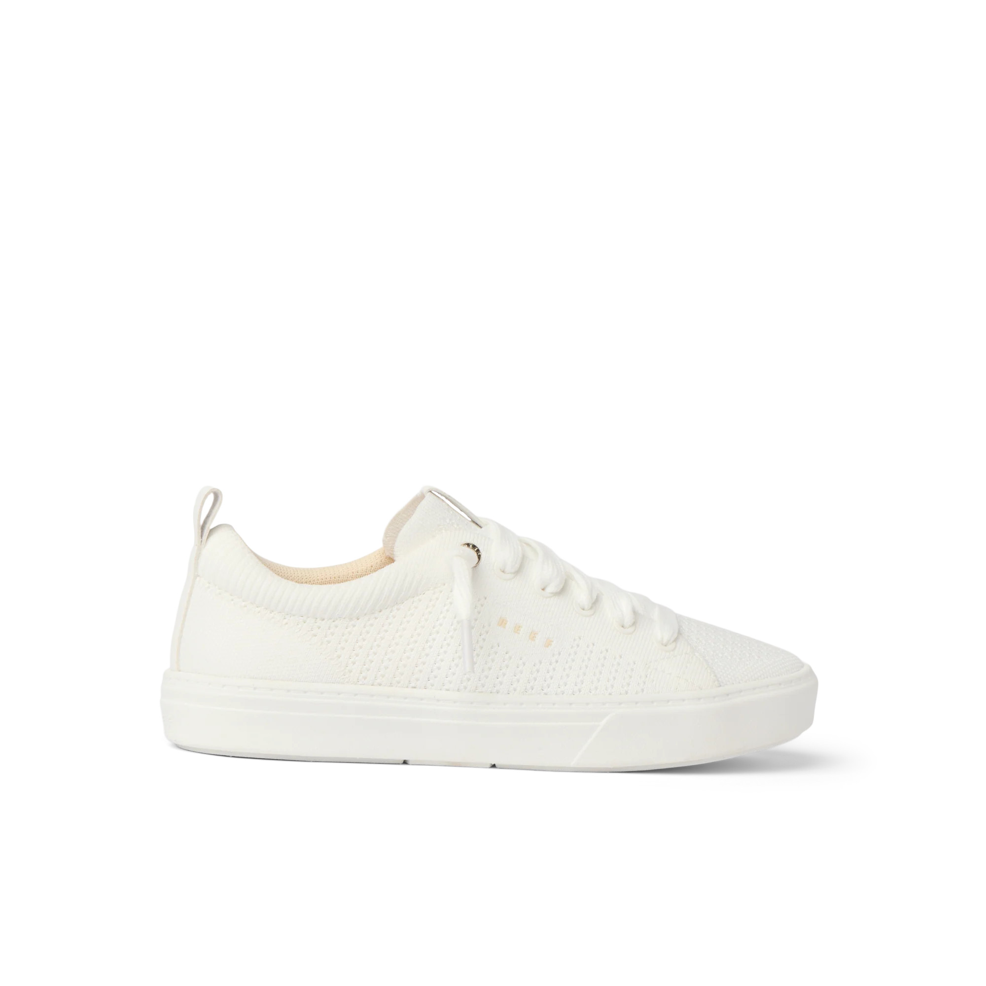 Lay Day Lite | REEF