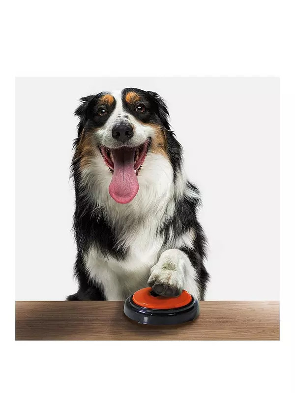 iQuties Buzzers | Very (UK)