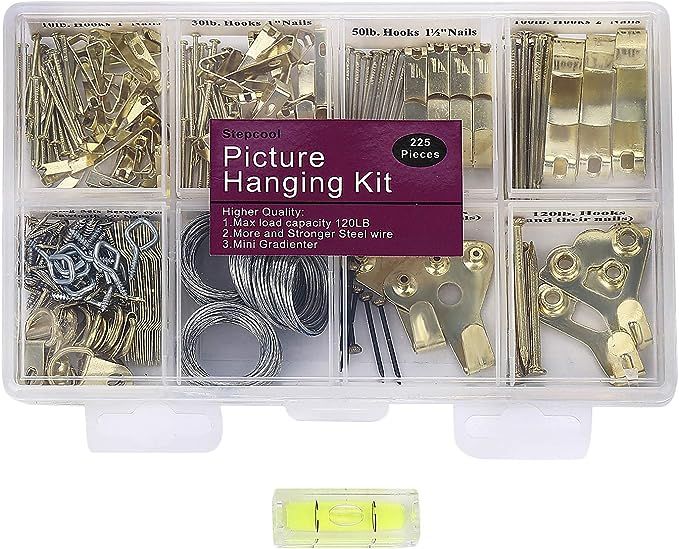 Picture Hangers, Picture Hanging Kit, 225pcs Heavy Duty Frame Hooks Hardware with Nails, Hanging ... | Amazon (US)