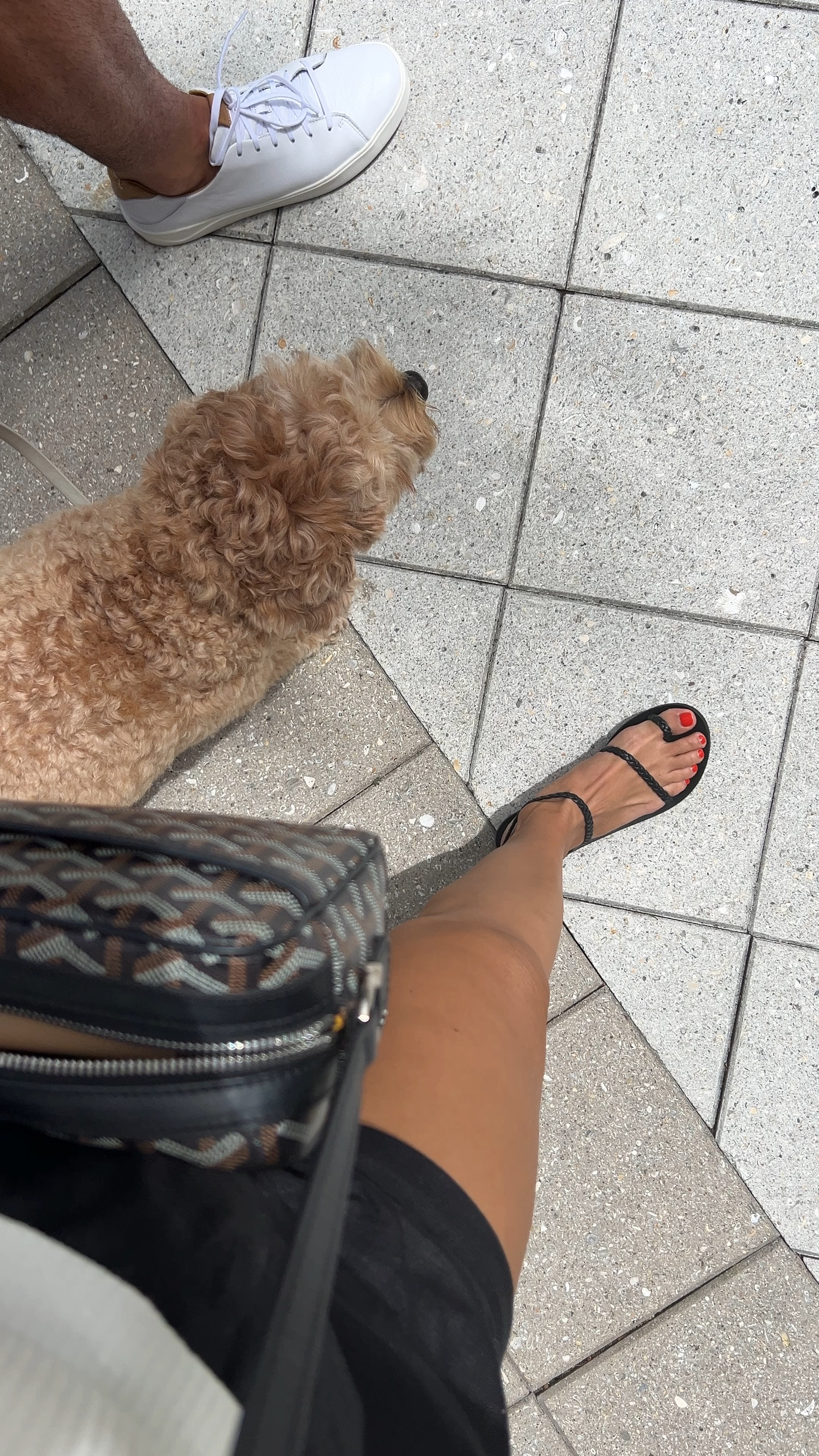 Summer flat sandals from Ancient Greek Sandals, these come in whole sizes so I went up 1/2 size from my usual shoe size. Polish is Orange Poppy.