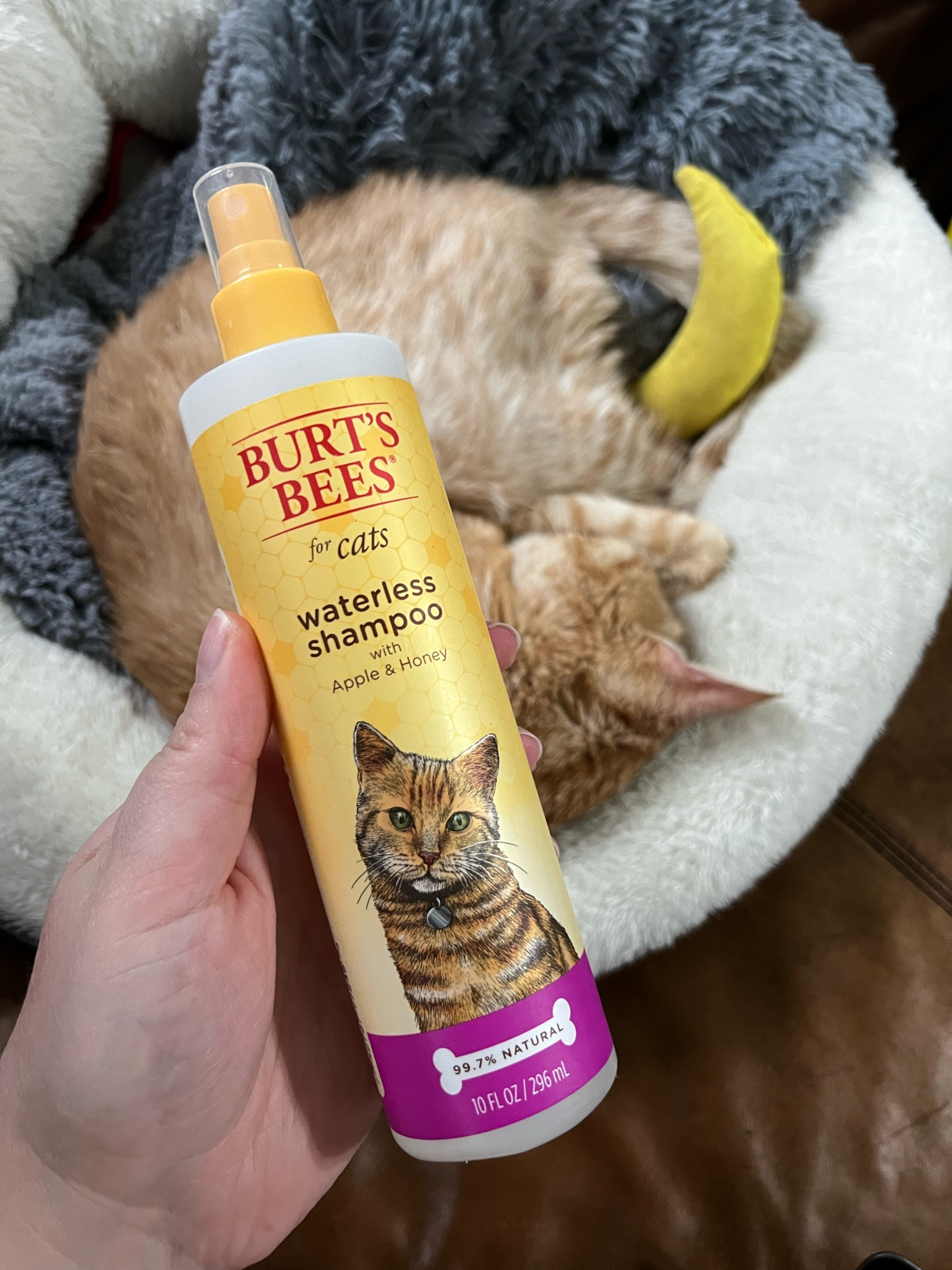 This waterless shampoo is a new addition to his grooming routine and it worked great to make his hair soft and skin moisturized and is meant to naturally deodorize him. When we first got him, we had to give him multiple consecutive baths and the mats resulted in him having bad dandruff. I could see a visible difference just by the first use of this and can’t wait to see the benefits of regular use, especially as his hair grows back in.

#LTKGiftGuide #LTKfindsunder50 #LTKHoliday