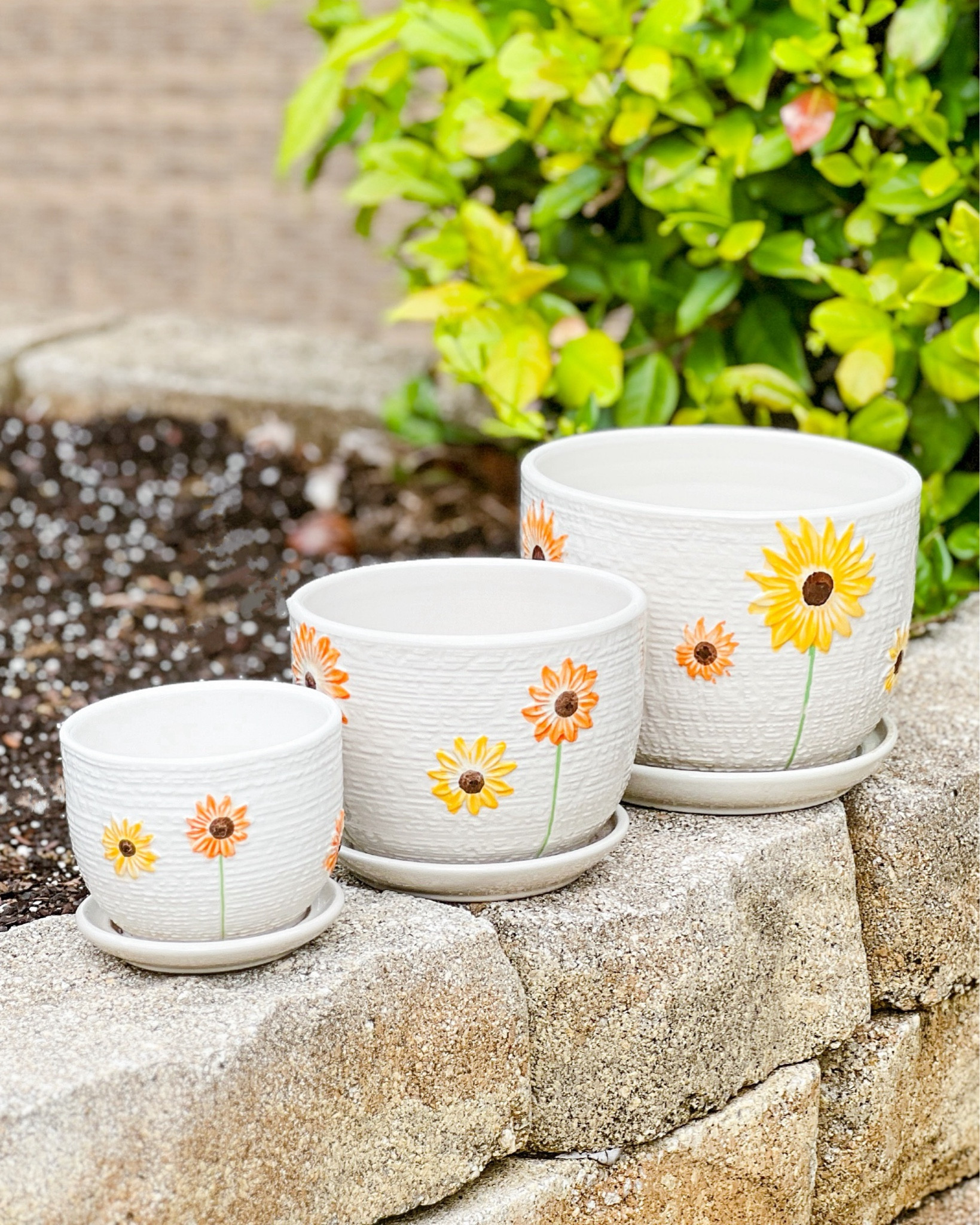 🌻 I was gifted this adorable ceramic plant pots set and I’m so obsessed! Any ideas what we should put in them? 💛🌱 
•
•
•
•
#ceramicplanter #planterpot #plantpotters #gardenpots #homeandgarden #flowerpots #homedecor #sunflowerlove #homedecoration #gardendecor #decorideas #springdecor #gardening #planters #ceramicart #gardenlover #mybackyardgarden #giftideas #bhg #bhgflowers #abmlifeiscolorful #abmathome

#LTKGiftGuide #LTKhome #LTKfindsunder50