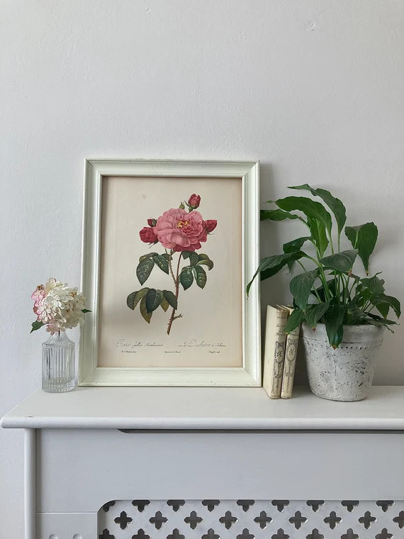 Large Vintage Rose Book Plate Print A3 | Etsy (UK)
